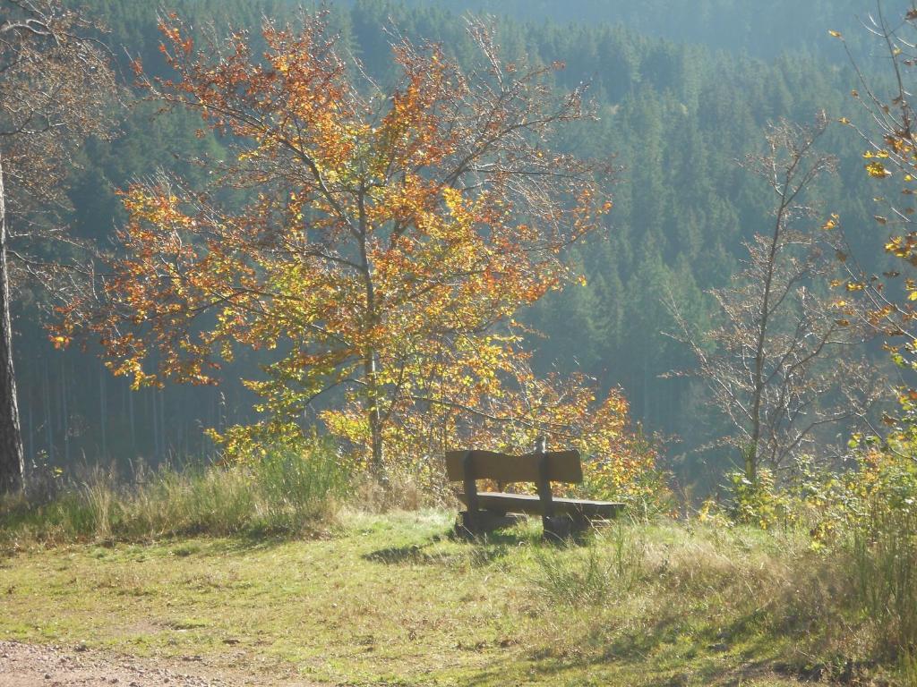 Lenzkircher Hof Esterno foto